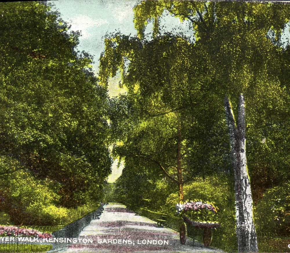 Flower Walk, Kensington Gardens, London — Blick auf einen beschatteten Weg mit Bank und Blumen — Verleger unbekannt - Vorderseite