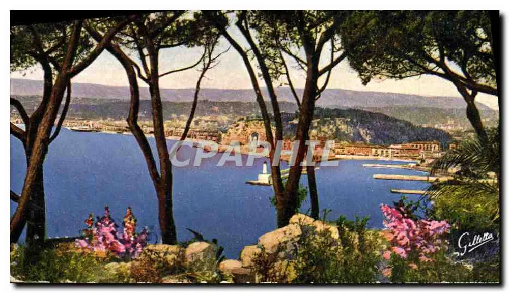 Nice — Vue entre les Pins — J. Gilletta, n°104 - Awers