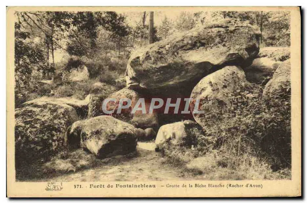 Wälder von Fontainebleau — Hirschhöhle (Rocher d'Avon) — n° 371 - Vorderseite