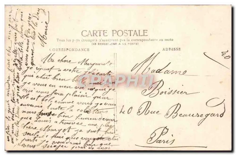 Junge Frau mit Margeriden — Stebbing Phot. — F.K. Paris - Rückseite