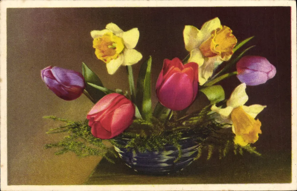 Arranjo de tulipas e narcisos — editor EAS, n° 686 - Frente