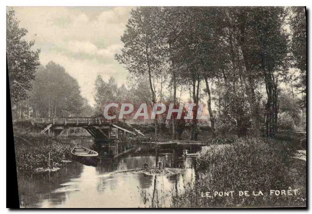 Le Pont de la Forêt — vista pitoresca de um ponte de madeira sobre um lago cercado por floresta — editor Raphael Tuck & Fils, série 701 - Frente