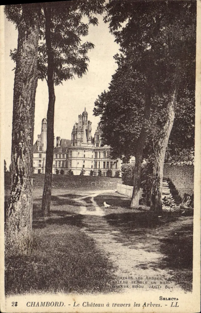 Chambord - Ansicht des Schlosses durch die Bäume — Selecta - Vorderseite