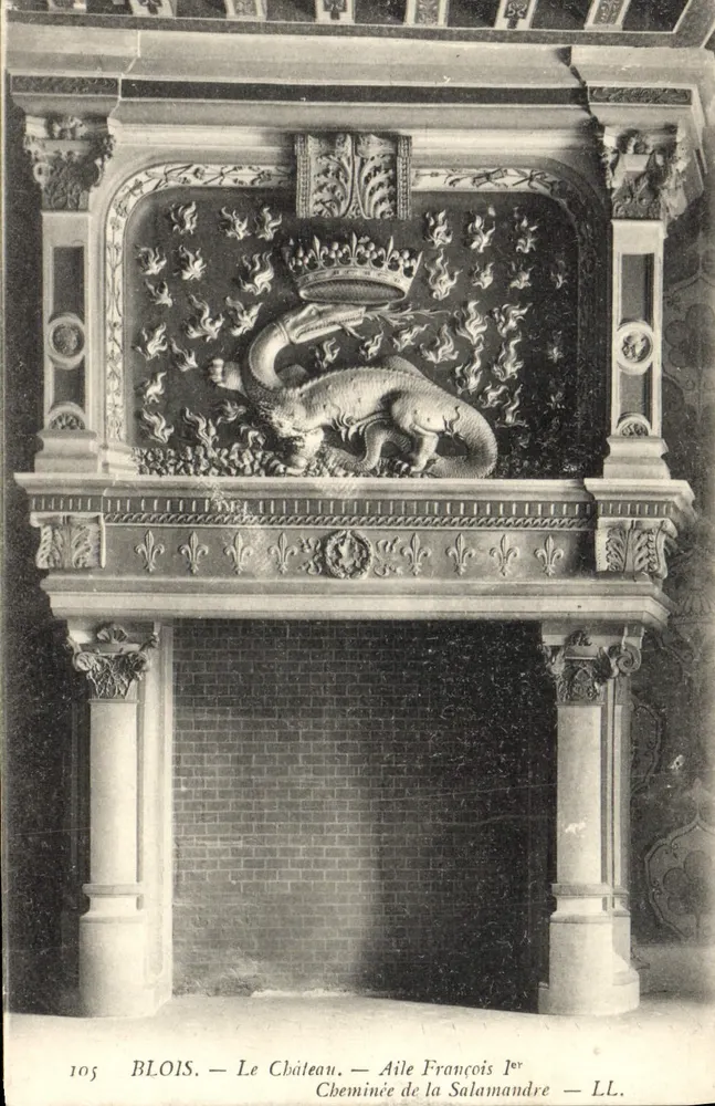 Blois — Das Schloss — Kamin der Salamander — LL. — Nr. 105 - Vorderseite