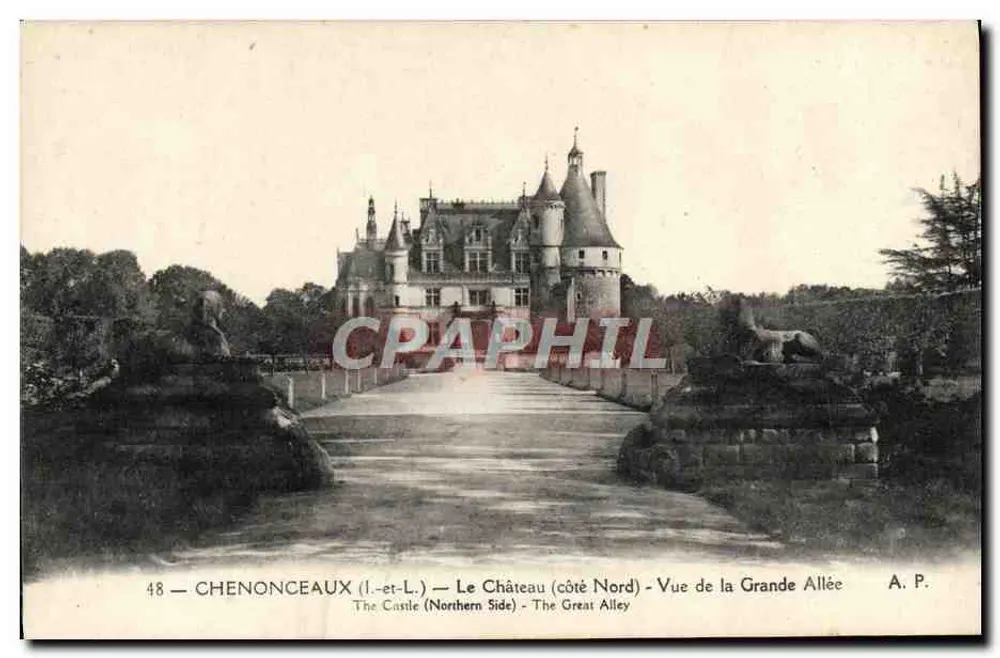 Chenonceaux — Das Schloss (Nordseite) - Ansicht der Grande Allée —n°48 - Vorderseite