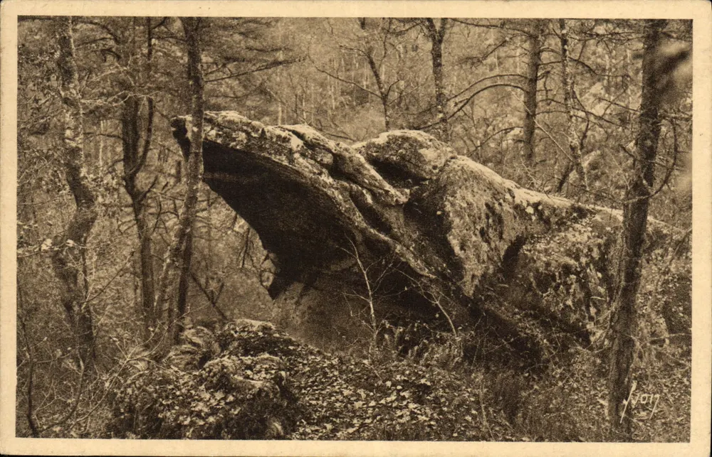 Pedra na floresta — Fontainebleau — Les Éditions d'Art Yv. 15, Paris - Frente