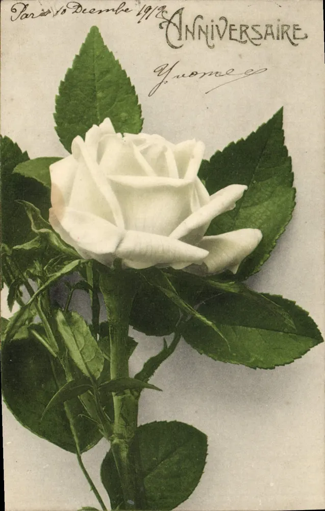 श्वेत गुलाब — जयंती — पेरिस, 1918 - आगे