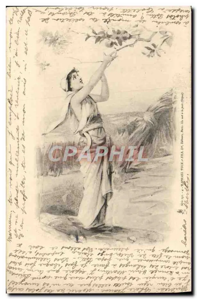 Frau, die Früchte pflückt — Verlag: W. H. Tuck & Sons, Paris — Nr. 114 - Vorderseite