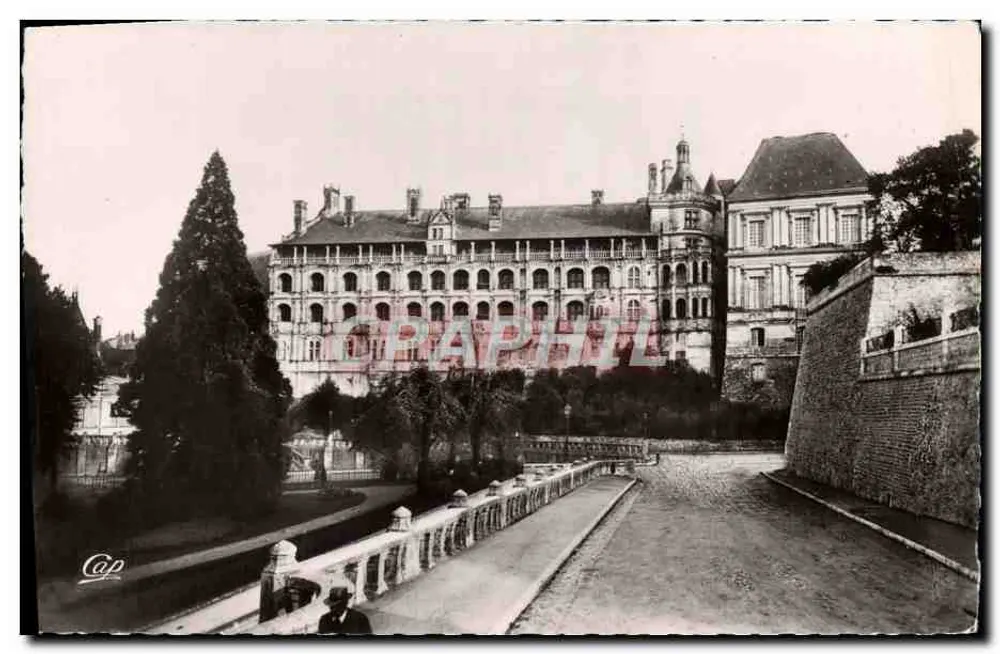 Blois - El Castillo - Fachada de Francisco I — Cie des Arts Photographiques, París - Anverso