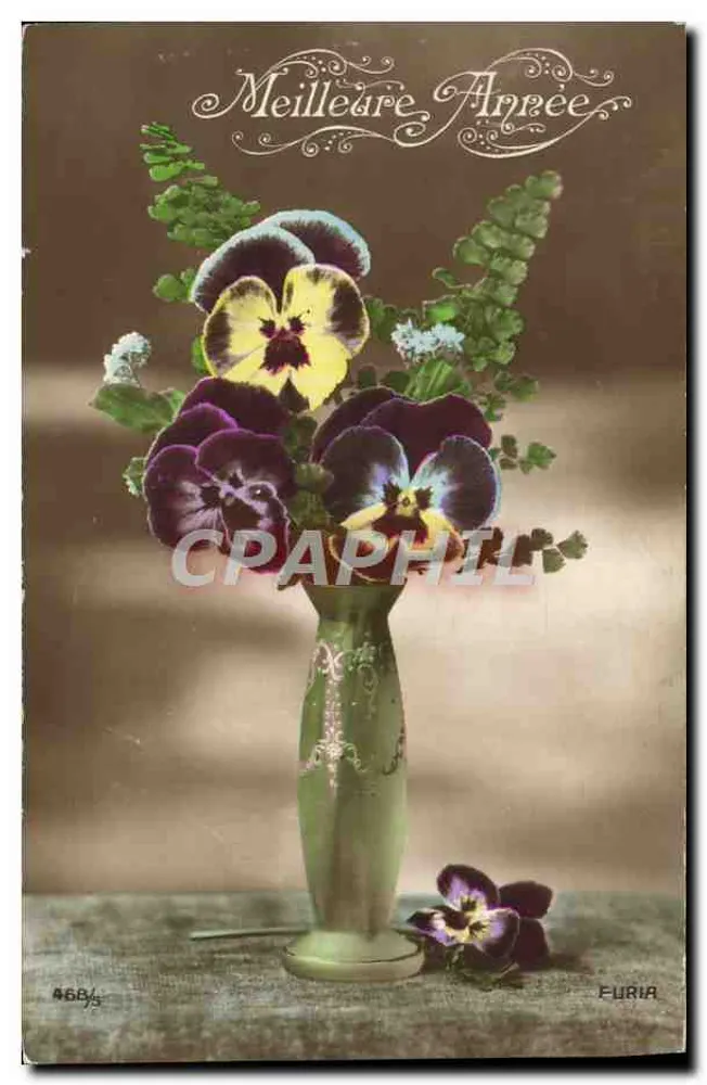 Fleurs de pensée dans un vase — éditeur FURIA, n° 4684 - Frente