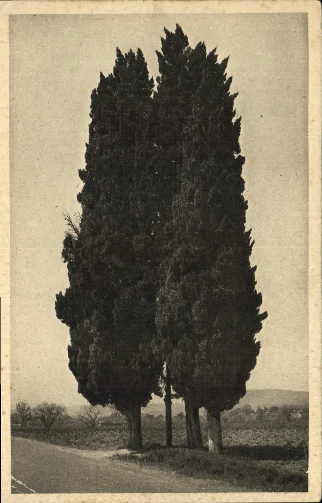 Saint-Raphaël — Les Trois Cyprès — Georges Benoist - Awers