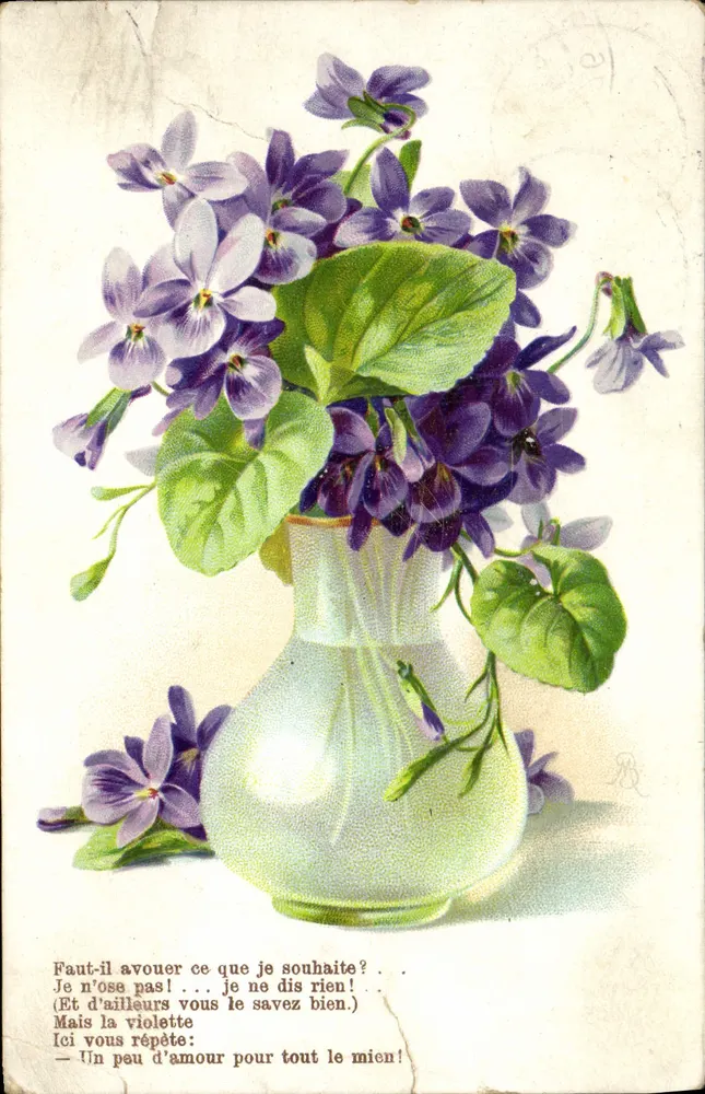 Violette dans un vase — illustration avec poème — K.F. ÉDITEUR PARIS, SÉRIE 705 - Frente