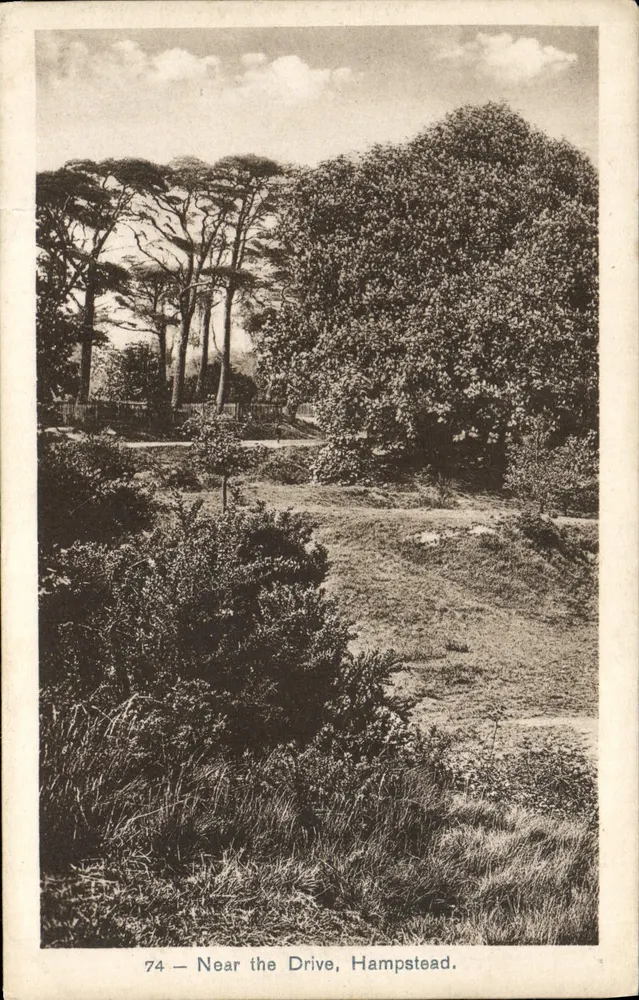 Vue près de la Drive, Hampstead — série A. B. C. Hampstead, n°74 - Frente