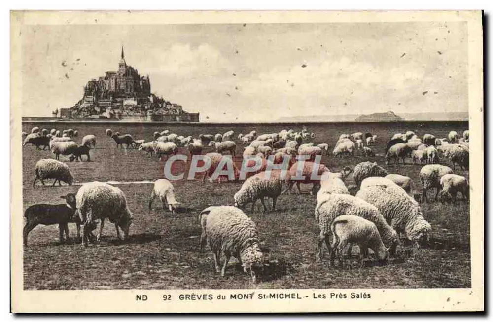 Mont-Saint-Michel — Les Prés Salés — CH des Arts, Straßburg - Vorderseite