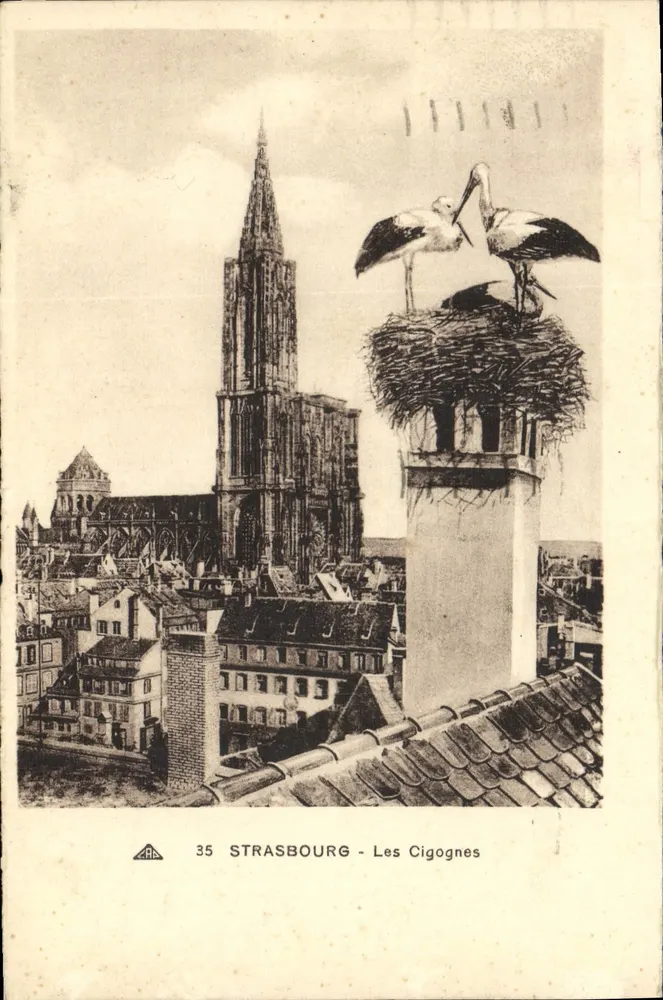 Strasbourg - Les Cigognes — vue de la cathédrale avec deux cigognes dans leur nid sur un cheminée, éditeur C'° A'c'ationne des Arts de l'Antiquité, n° 35 - Frente