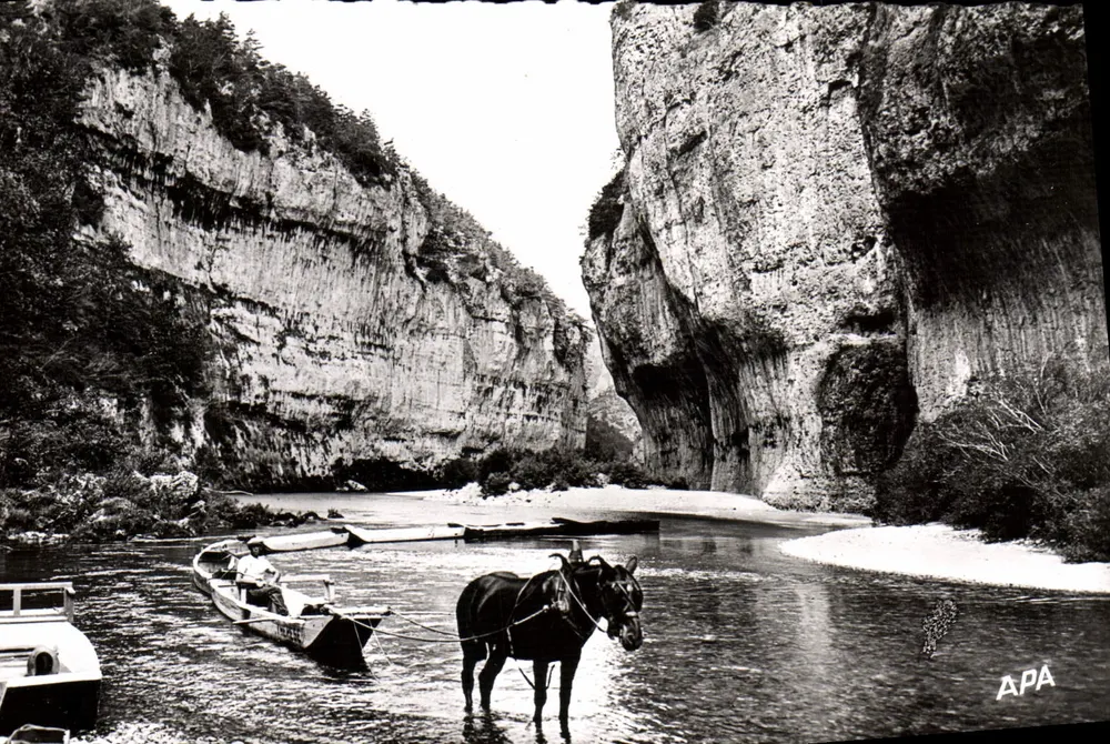 Gorges du Tarn — Ein Bootszug — APA-POUX Postkarten-Gesellschaft - Vorderseite