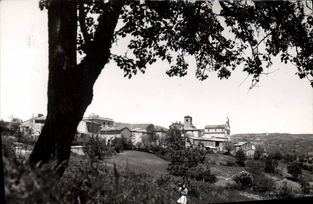 Cognò S. Savino m. 800 - Panorama — P. Cavanna, editor - Frente