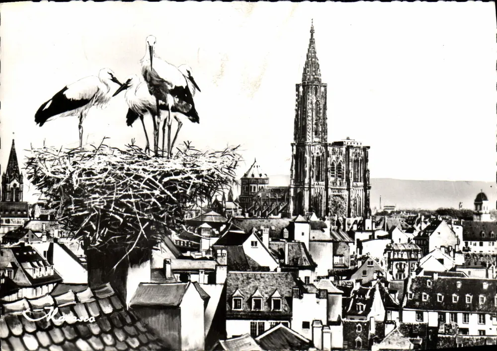Estrasburgo — Vista geral e o Ninho das Corujas — Edição Art Marasco - Frente