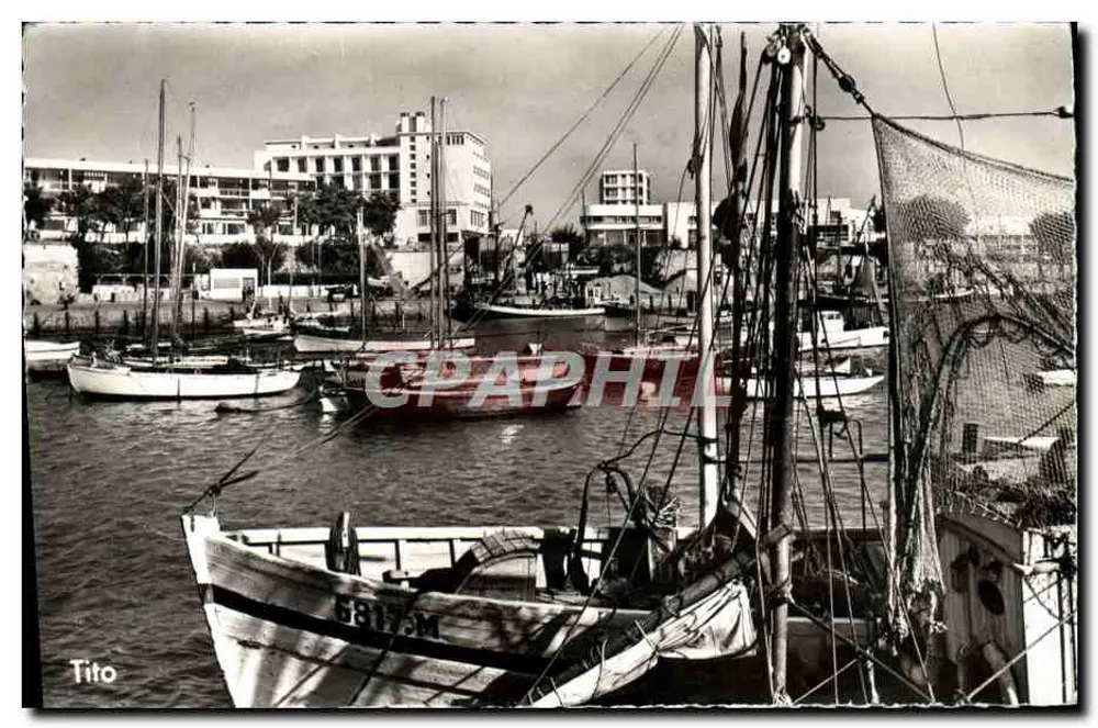 O Porto — Royan — Tito - Frente