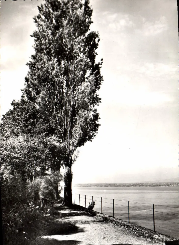 As margens do Lago — Vue de um caminho cercado de árvores — Hermancia, Paris - Frente