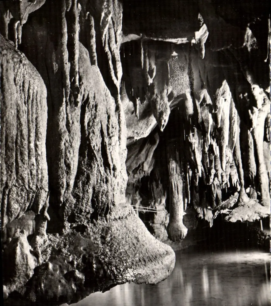Grutas de Bétharram — Champignons renversés — Edições Modernas em Limoges - Frente