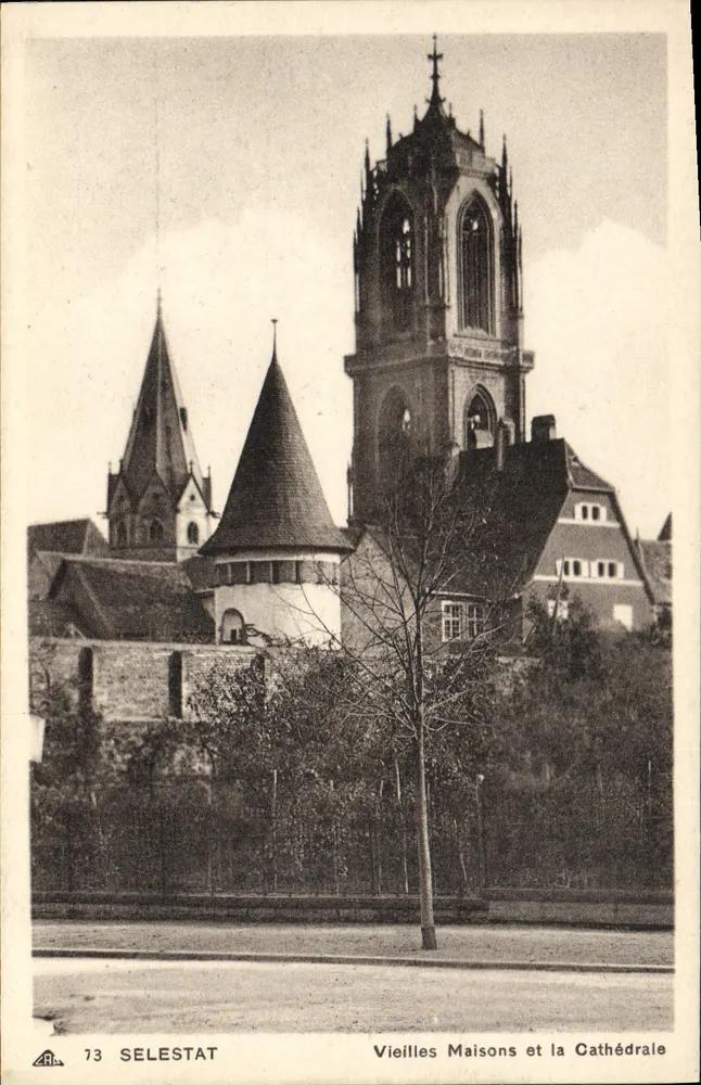 Selestat — Alte Häuser und die Kathedrale — Antike Ansichtskarte 73 - Vorderseite