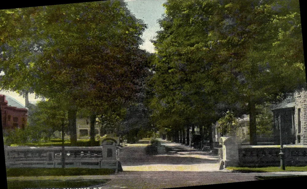 Jewett Park, Rochester, N.Y. — vista da entrada com avenida arborizada — Published by the Rochester News Company, N.Y. - Frente