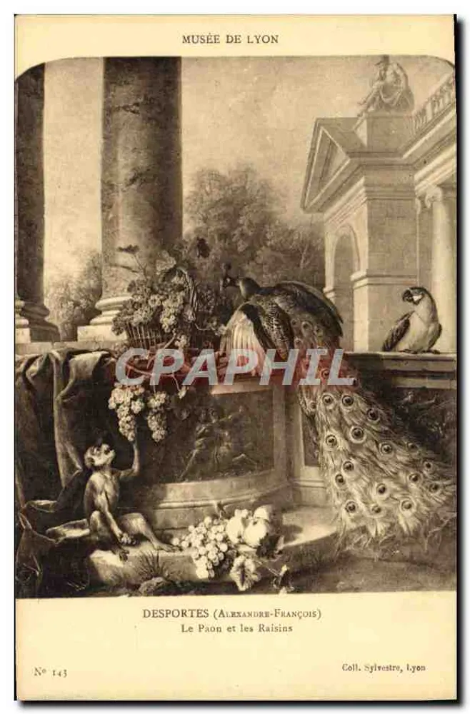 Der Pfau und die Trauben — Museum von Lyon — Desportes (Alexandre-François) — Sammlung Sylvestre, Lyon — Nr. 143 - Vorderseite