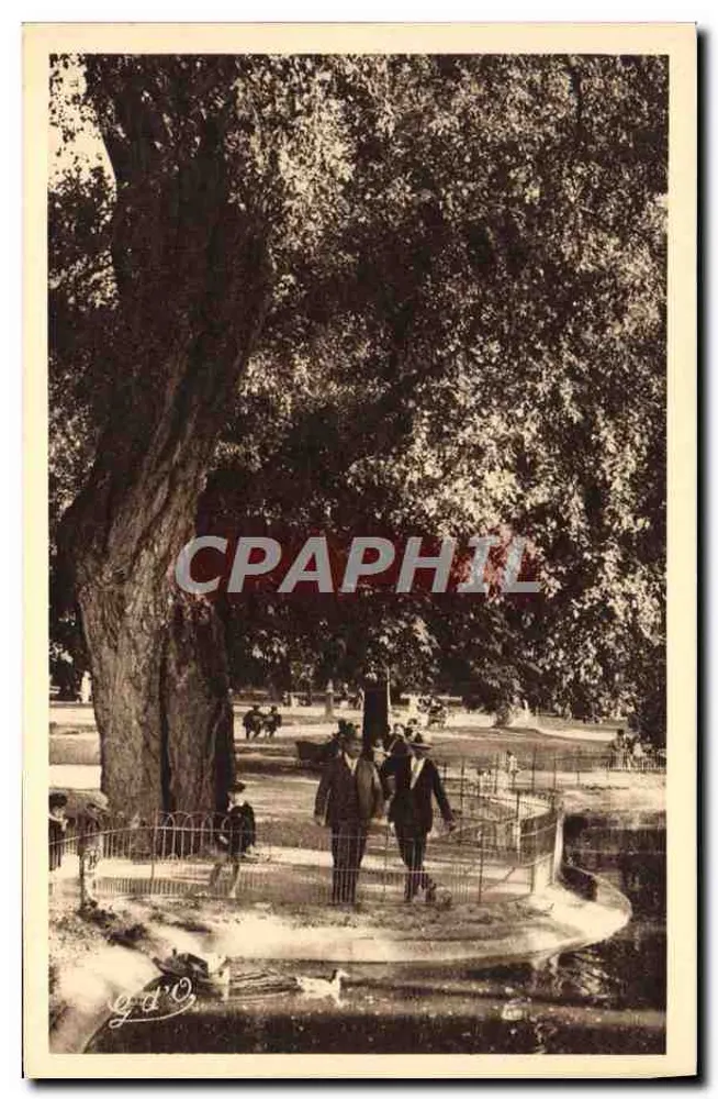 Vichy — In den Großen Parks — Schwannenteich - Vorderseite