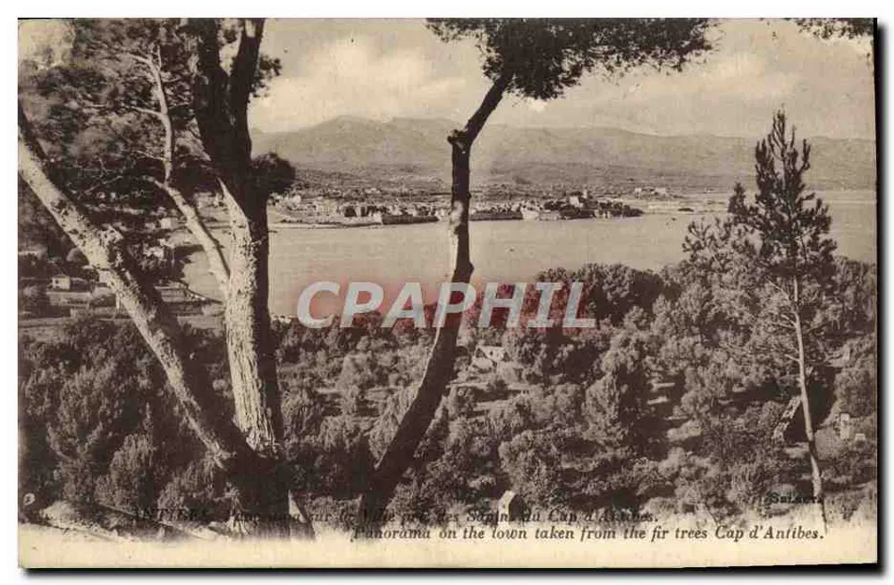 Antibes — Panorama der Stadt vom Cap d'Antibes aus den Pinien — Salsens - Vorderseite