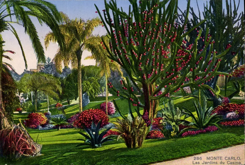Die Gärten des Casinos — Monte Carlo — unbekannter Verlag, n° 286 - Vorderseite