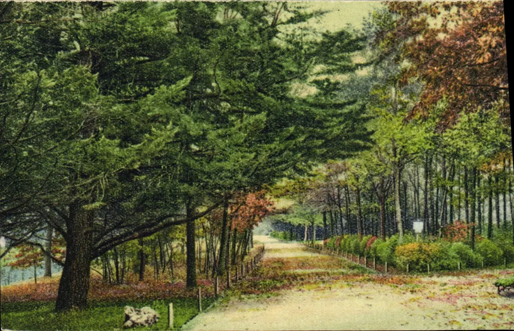 Waldweg im Herbst — R. Berghvin, Verleger, 60, rue des Merciers - La Rochelle - Vorderseite