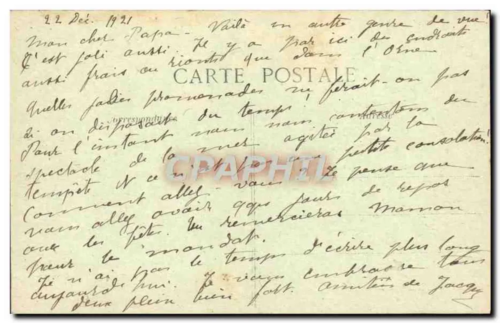 Pont-Aven — Promenade du Bois d'Amour — Baumstudie — n° 224 - Rückseite