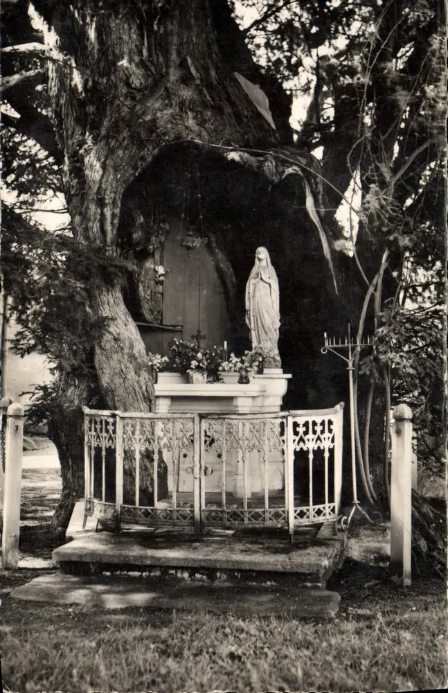 La Haye-de-Routot — Notre-Dame de Lourdes — Baum mit einem Umfang von 12 Metern, gepflanzt vor 1.800 Jahren - Vorderseite