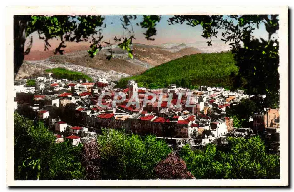 Vence — Vista geral — REAL-PHOTO C.A.P. PARIS - Frente