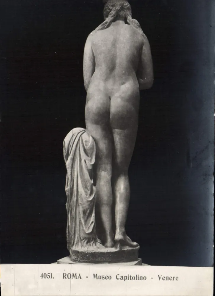 Wenus (statua) — widok z tyłu — Muzeum Kapitolin w Rzymie — n° 4051 - Awers