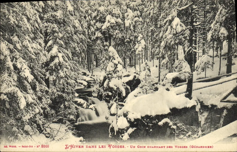 Winter in den Vosges — Ein charmantes Stück der Vosges (Gérardmer) — Wolek - Saint-Dié N° 8016 - Vorderseite
