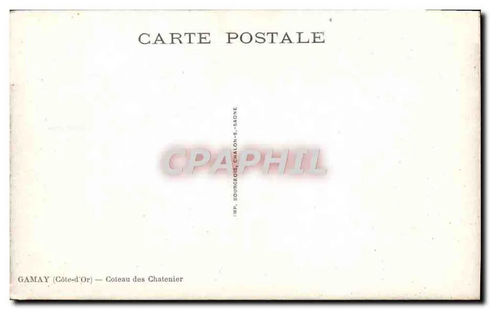 Meursault — Montirachel — Coteau dos Chatenier — Imp. Gamay - Verso
