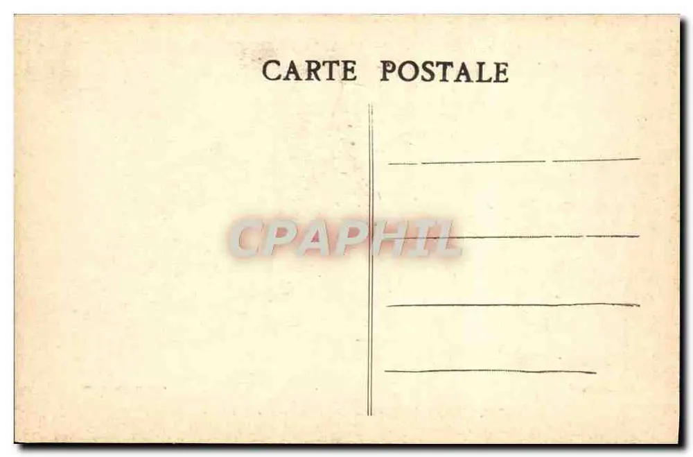 Vichy (Allier) — Im Park — Die Esel - Rückseite