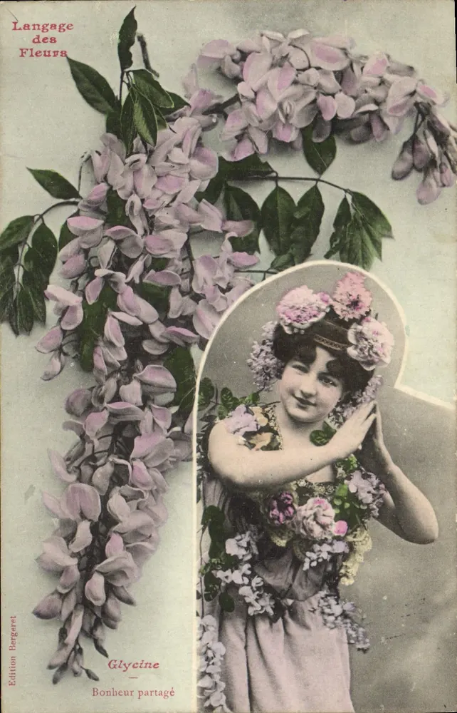 Glycyna — Dzielna radość — Wydawnictwo Bergeret - Awers