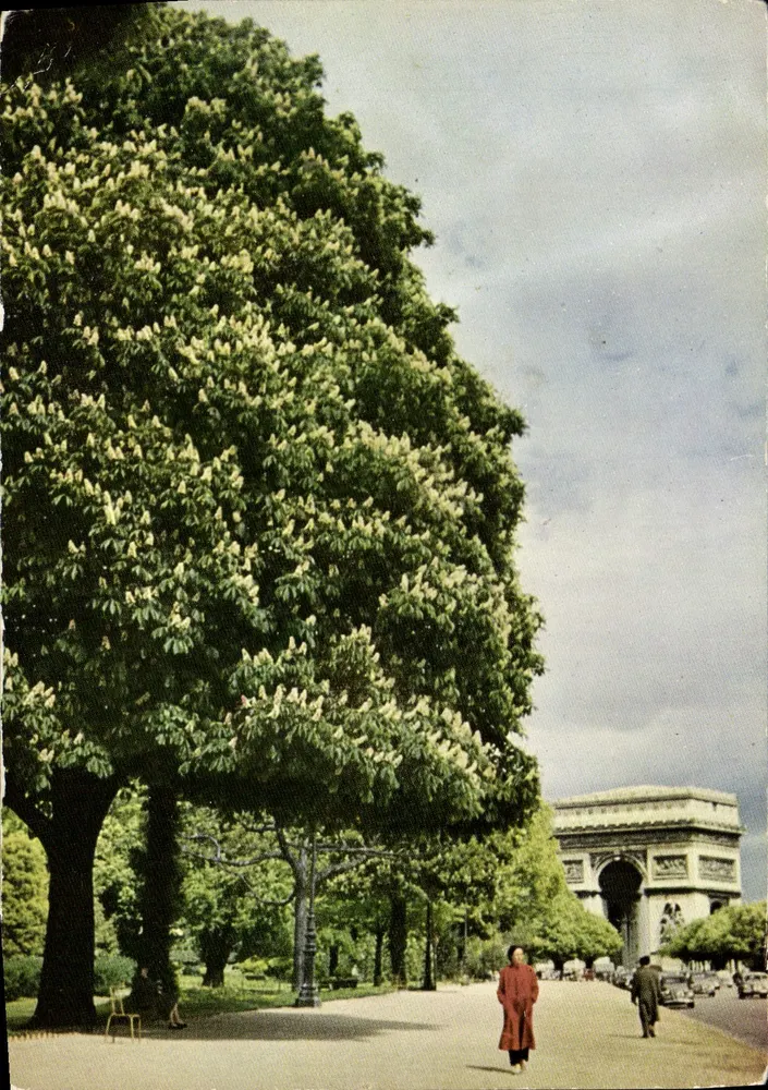 París - Primavera en París, avenue Foch — Panoramas, n°30 - Anverso