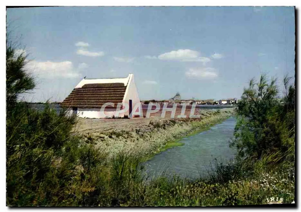 Camargue mit den Gardians — Weiße Hütte mit Schilddach — Éd. G. Gandini, Marseille - Vorderseite