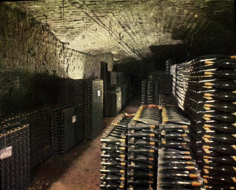 Beaune - Cellar of the « Grosse Tour » — Property of Maison Calvet - Front