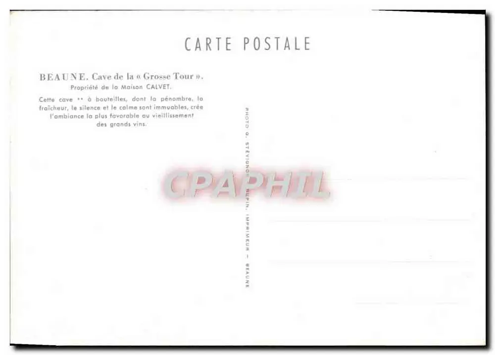 Beaune - Cellar of the « Grosse Tour » — Property of Maison Calvet - Back