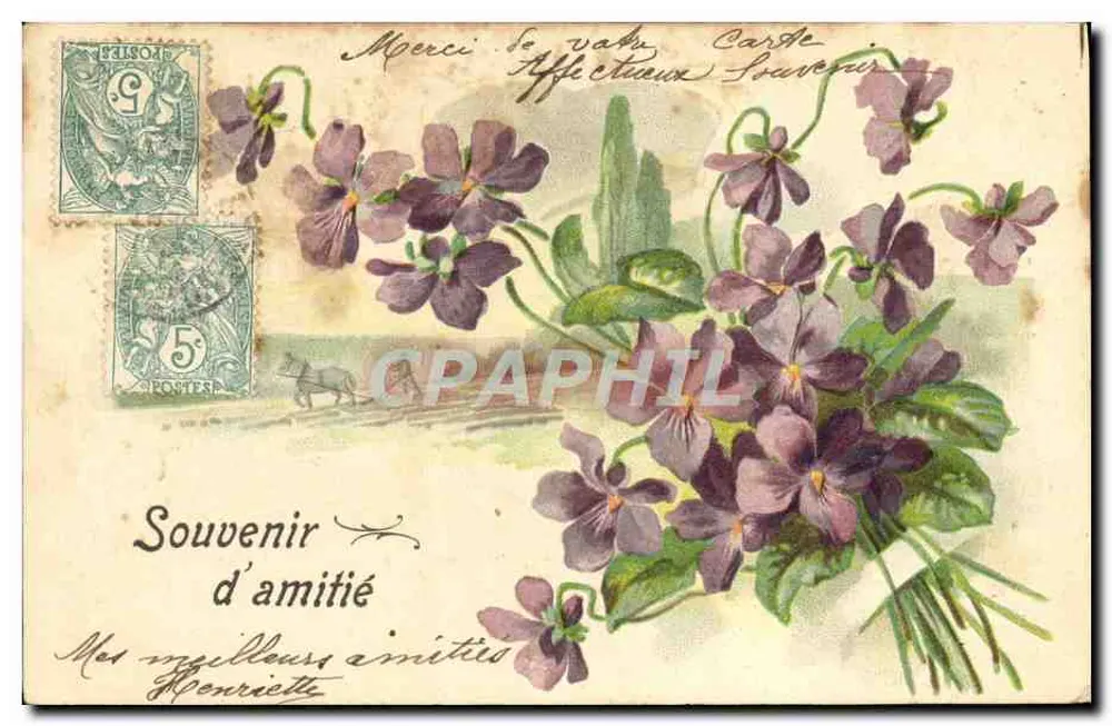 Violette — Erinnerung an Freundschaft — Verlag unbekannt - Vorderseite