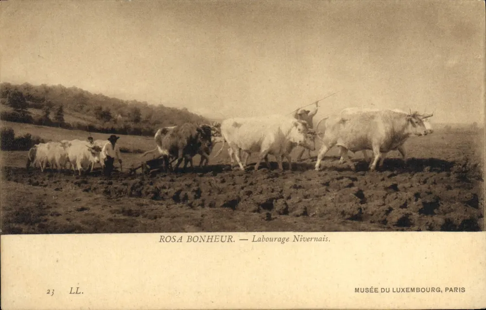 Nivernais Plowing — Rosa Bonheur — Musée du Luxembourg, Paris - Vorderseite
