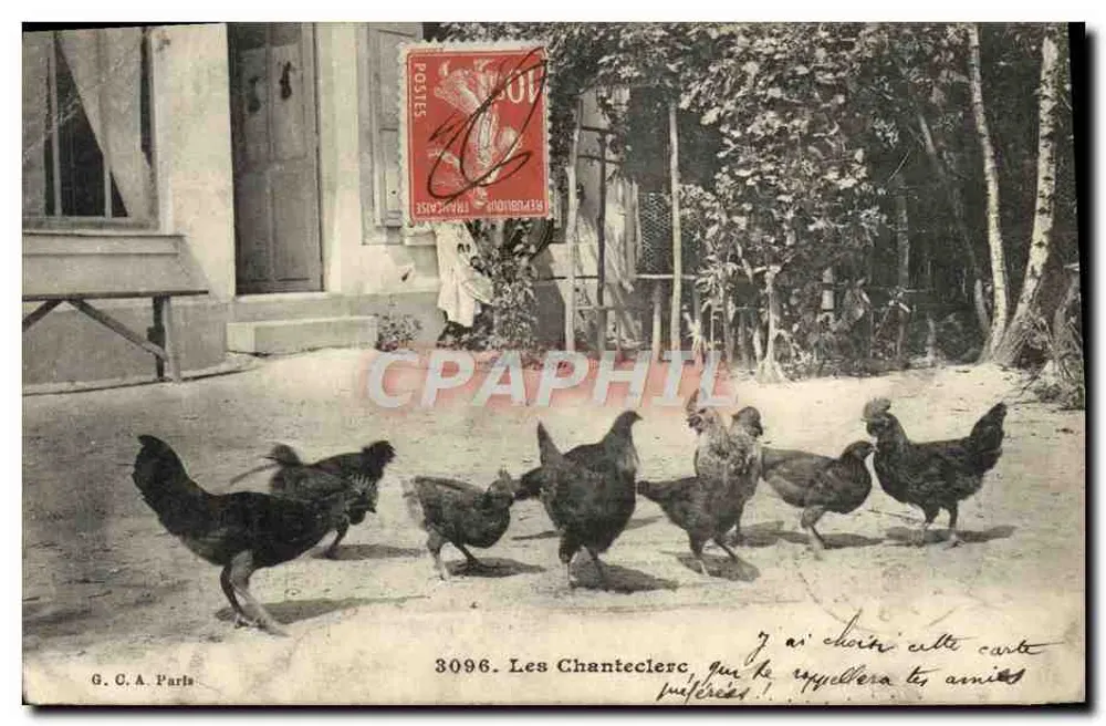 Les Chanteclerc — scène de poules devant une maison — G. C. A. Paris n° 3096 - Frente