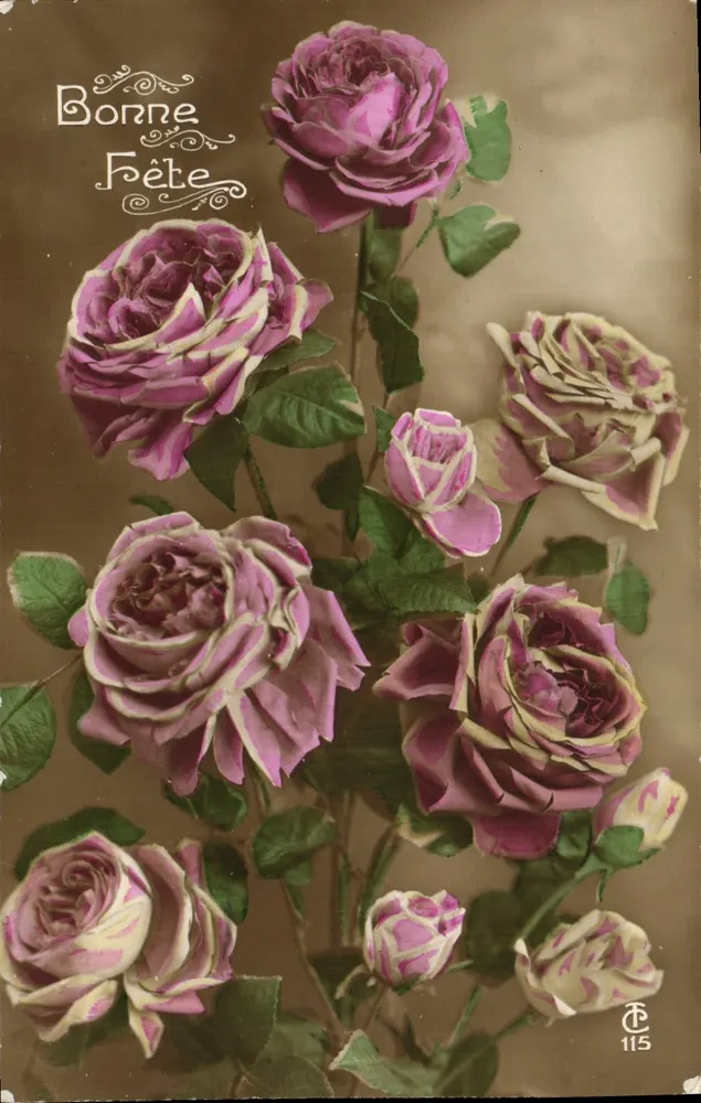 Rosen — Grußkarte — CP 115, Verlag C.P. - Vorderseite