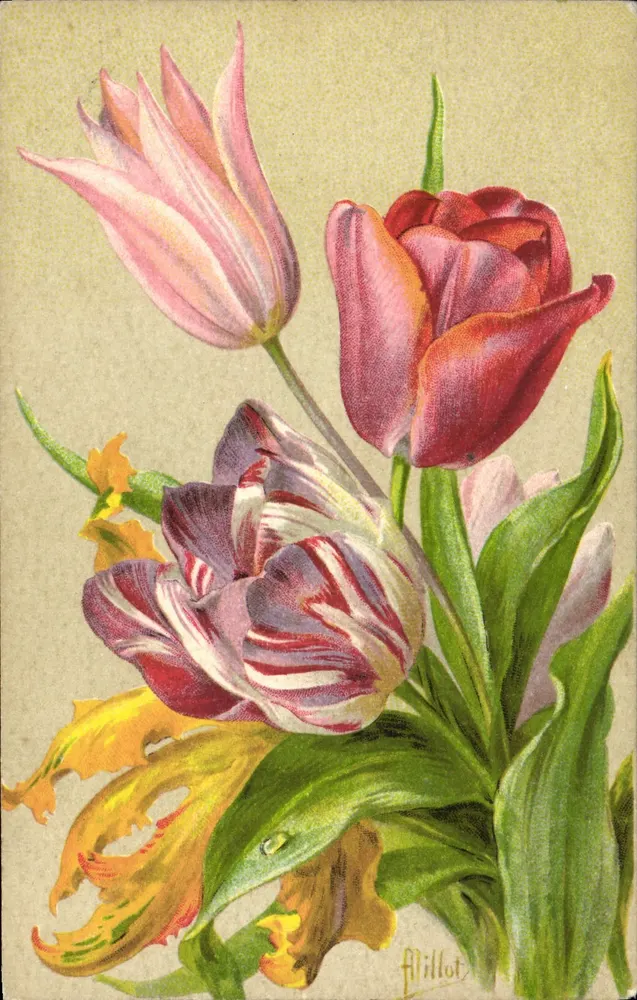 Tulpen — kleurige bos — uitgave F. Châtain-Nois, Parijs, n° 309 - Voorkant