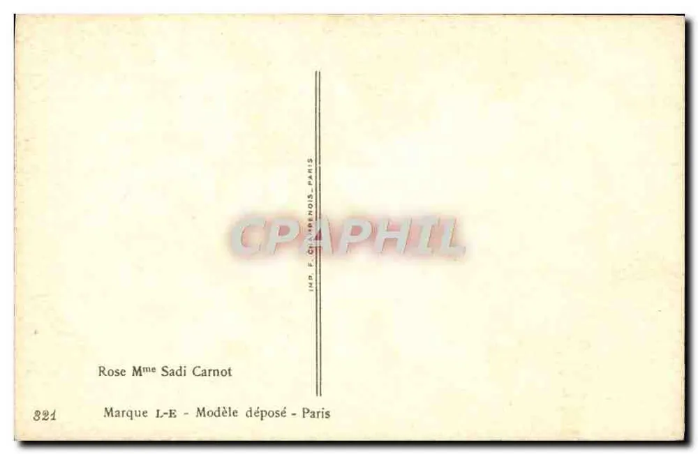 Gelbe Rosen — Illustration — Millob - Rückseite